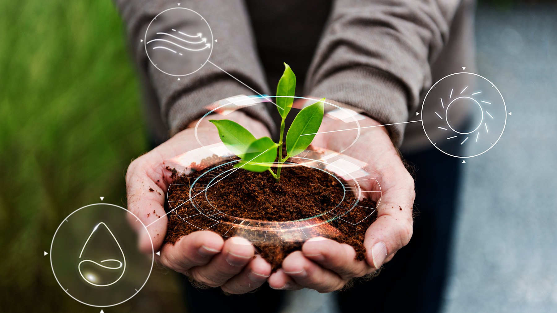 Bioeconomia: entenda o que é e o seu impacto na produção agrícola